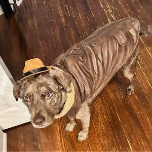 Indiana Jones or Cowboy Costume: Dog Bomber Jacket, Hat and Bandanna